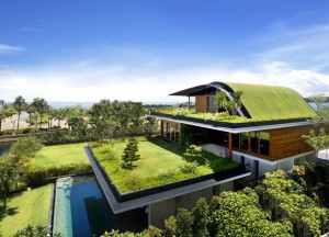 Green Roofs and Landscaping